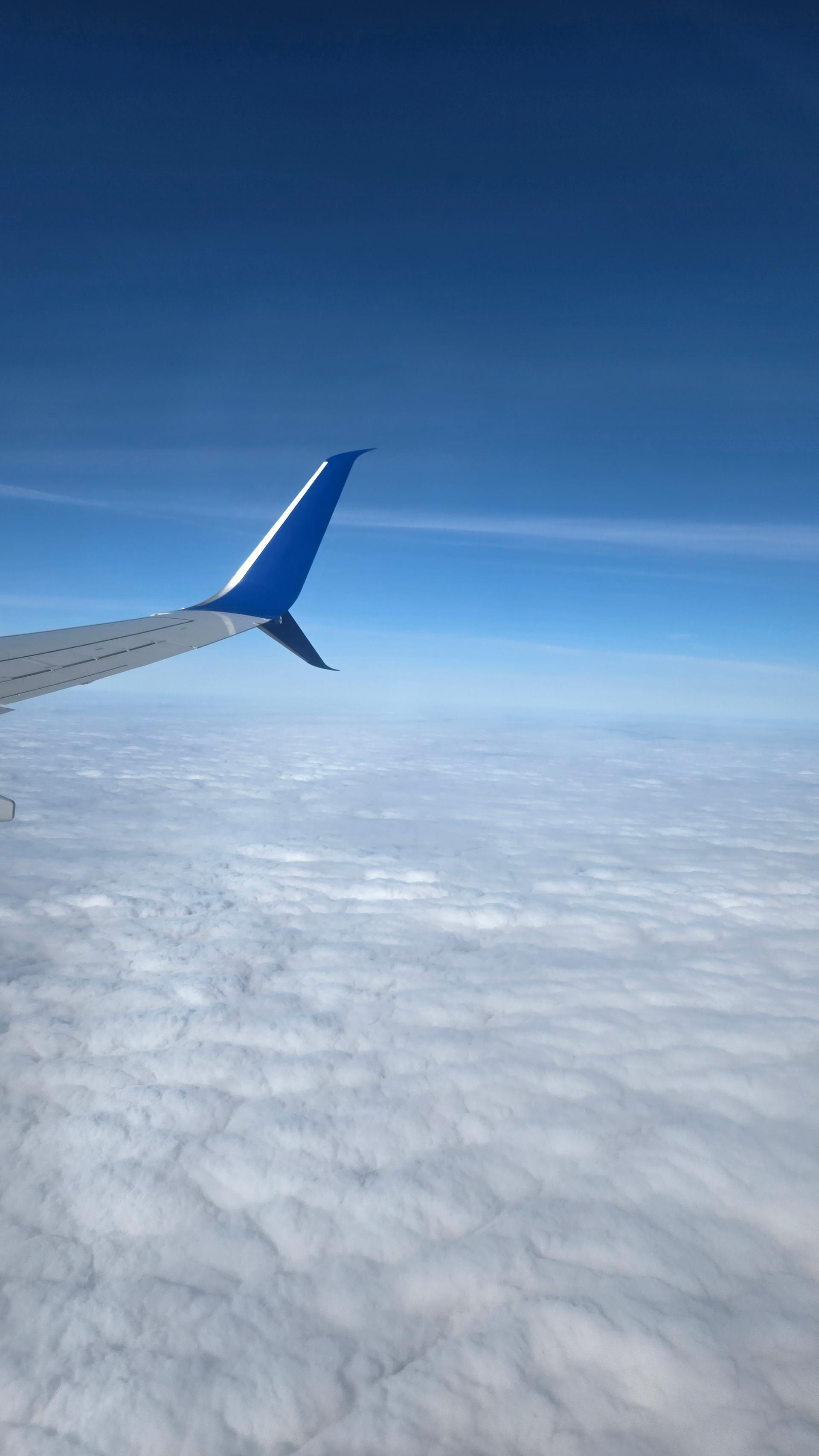 Flight